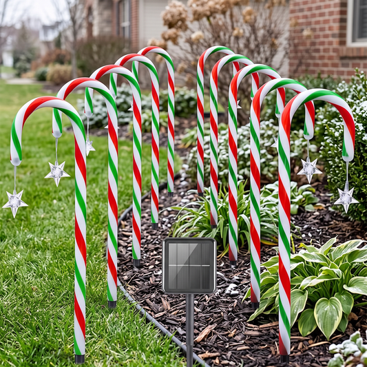Solar candy cane lights in daylight garden