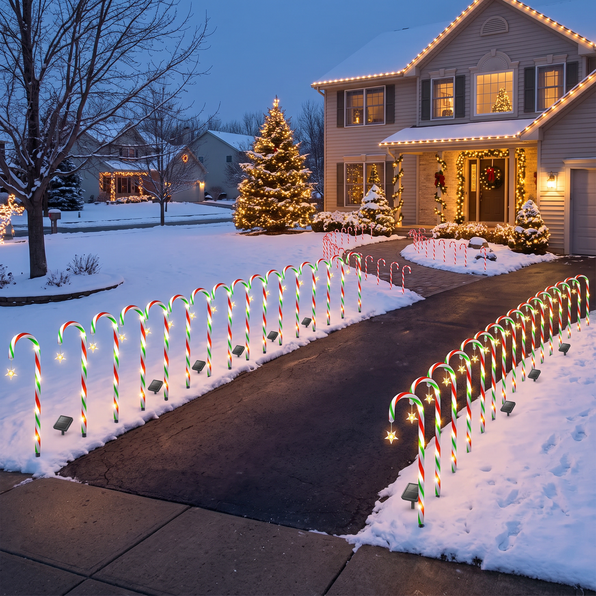 Front yard lit by candy cane lights on a winter evening