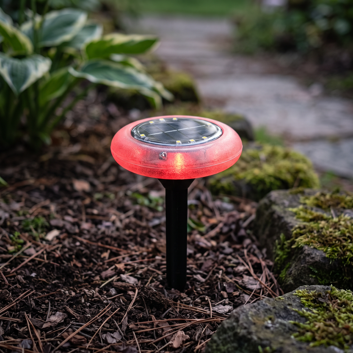 Solar Mood Light lifestyle photo